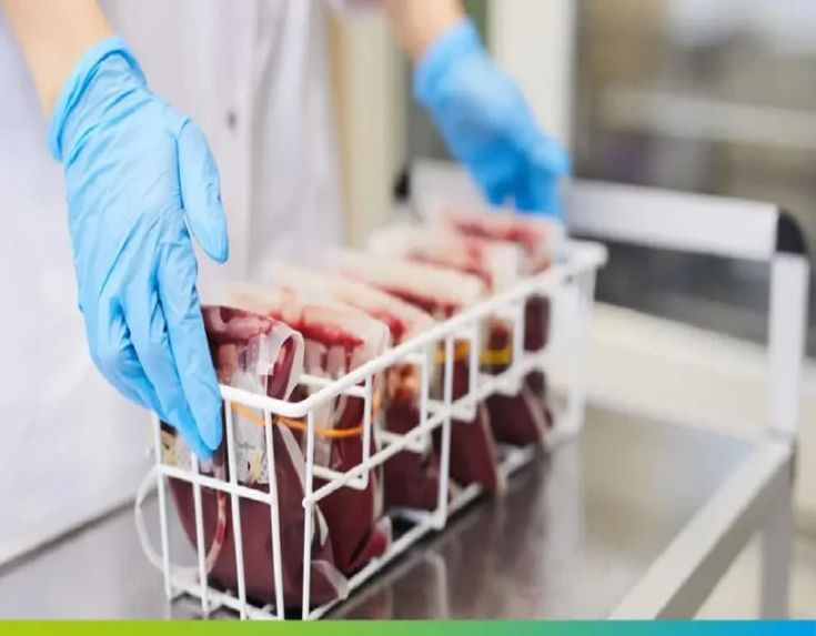 17f3f83715bd829325651abe5ac1c2b3 52